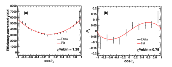 BESIII achieves the first complete determination of the spin density matrix in ψ(3686) → Λ Λbar